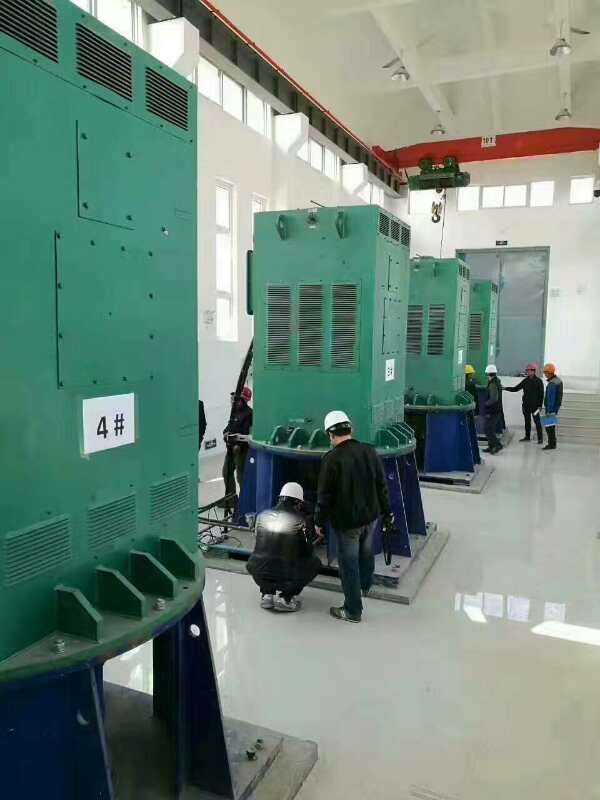漳浦某污水处理厂使用我厂的立式高压电机安装现场一年质保